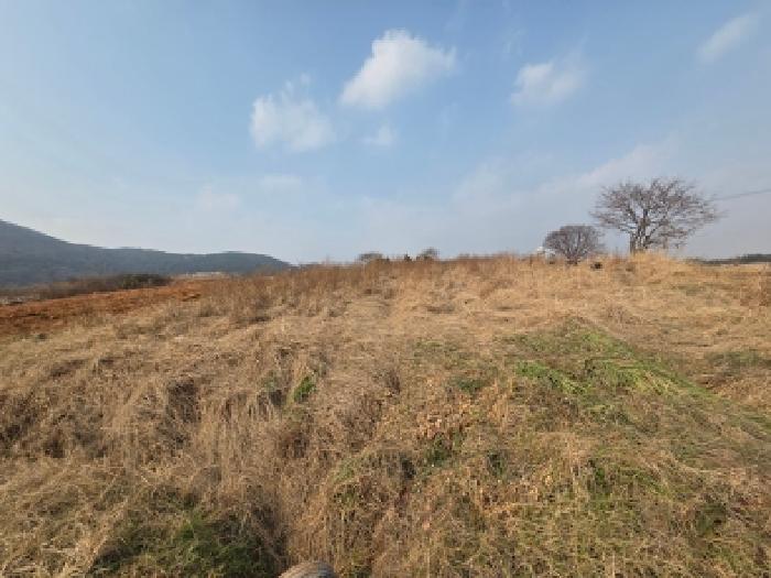전북 고창군 부안면 임야 경매 물건 사진