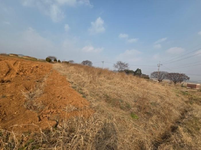 전북 고창군 부안면 임야 경매 물건 사진 2 · 2025타경30543