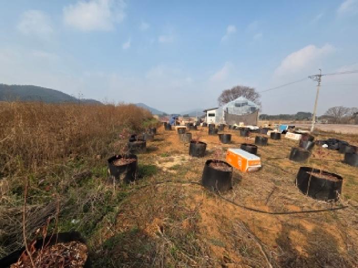 전북 고창군 부안면 임야 경매 물건 사진 3 · 2025타경30543