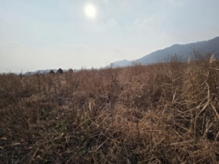 전북 고창군 부안면 임야 경매 물건 사진 4 · 2025타경30543
