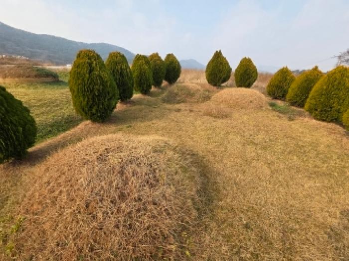 전북 고창군 부안면 임야 경매 물건 사진 5 · 2025타경30543