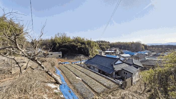 전북 정읍시 신태인읍 전 경매 물건 사진 4 · 2025타경30578