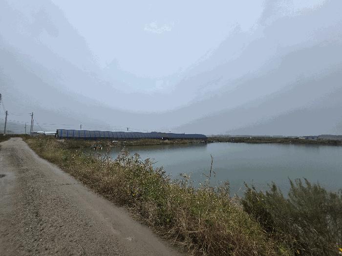 전북 부안군 보안면 답 경매 물건 사진 4 · 2025타경349