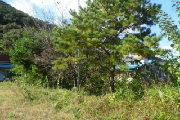 전북 고창군 아산면 근린생활시설 경매 물건 사진 4 · 2025타경354