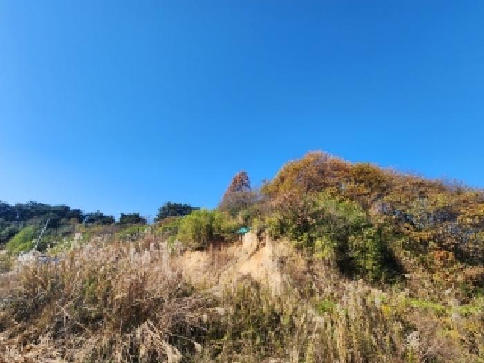 전북 부안군 부안읍 전 경매 물건 사진 3 · 2025타경356