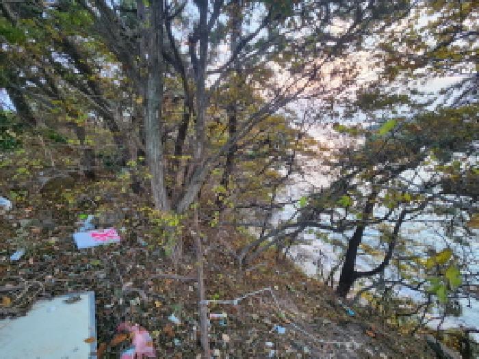 전북 부안군 변산면 임야 경매 물건 사진 2 · 2025타경361