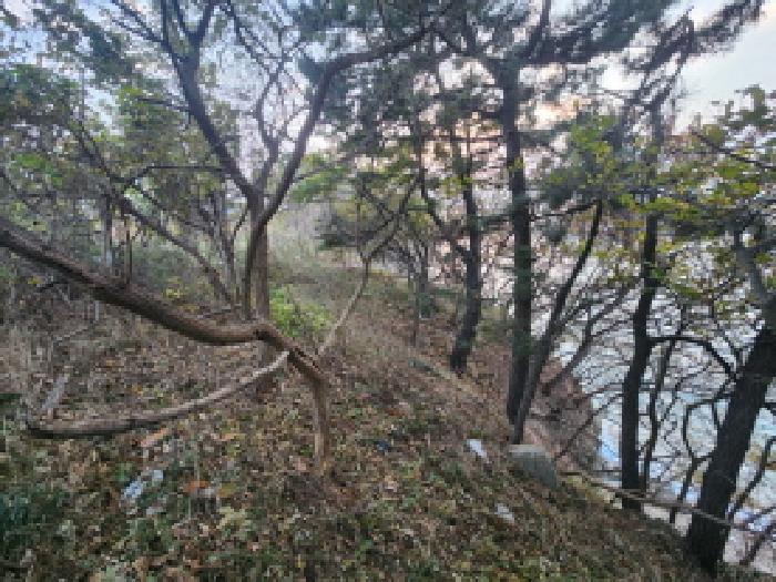 전북 부안군 변산면 임야 경매 물건 사진 3 · 2025타경361