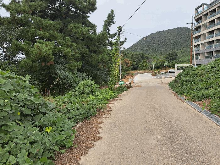 전북 부안군 변산면 임야 경매 물건 사진