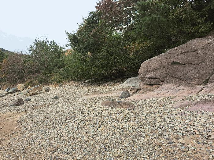 전북 부안군 변산면 임야 경매 물건 사진 5 · 2025타경361