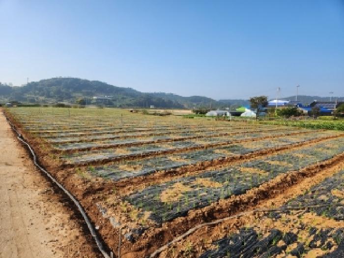 전북 부안군 변산면 전 경매 물건 사진