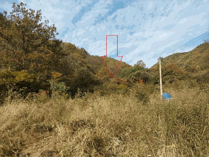 전북 정읍시 쌍암동 답 경매 물건 사진