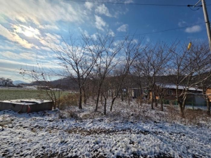 전북 부안군 진서면 전답 경매 물건 사진 6 · 2025타경387