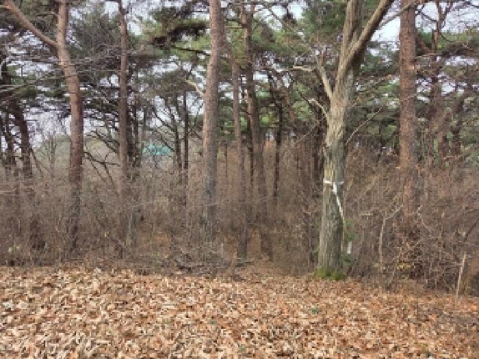 전북 고창군 고창읍 임야 경매 물건 사진 2 · 2025타경390