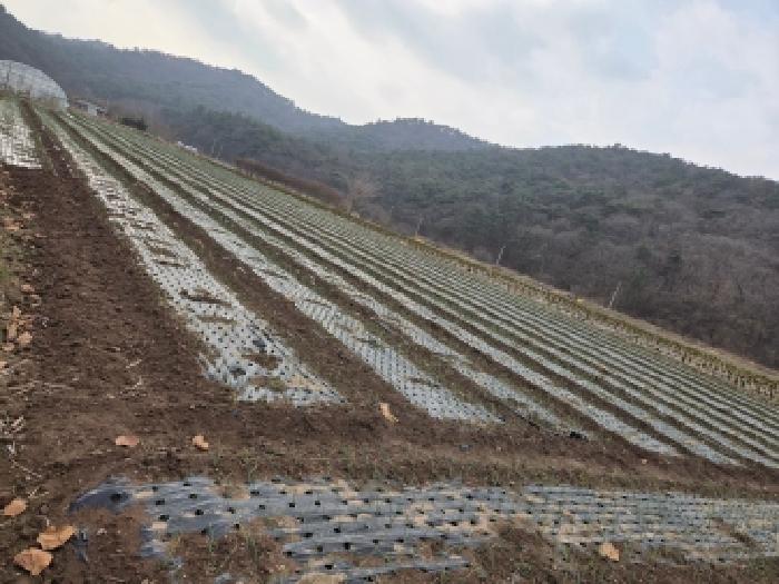 전북 고창군 심원면 전답 경매 물건 사진 2 · 2025타경396