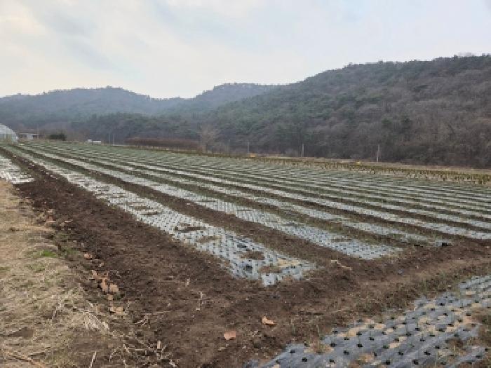 전북 고창군 심원면 전답 경매 물건 사진 3 · 2025타경396