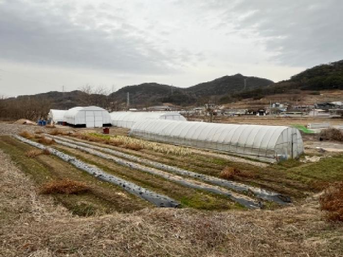 전북 정읍시 흑암동 전 경매 물건 사진