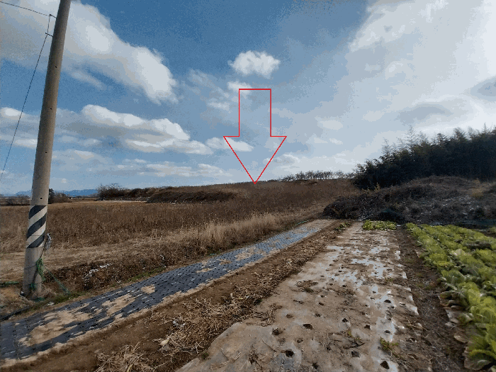 전북 고창군 부안면 전 경매 물건 사진 5 · 2026타경30004