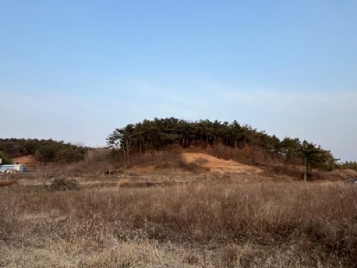 전북 정읍시 덕천면 임야 경매 물건 사진