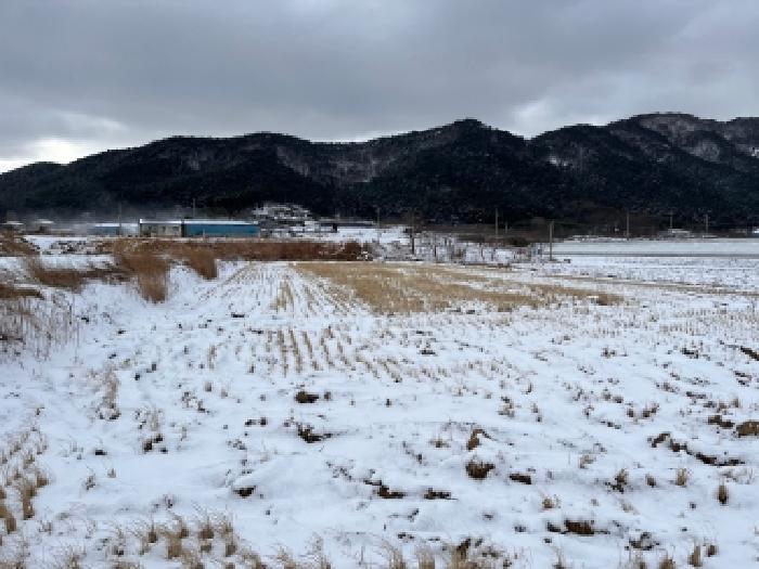 전북 부안군 상서면 답 경매 물건 사진