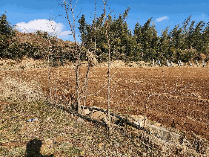 전북 고창군 대산면 대지 경매 물건 사진 5 · 2026타경30022