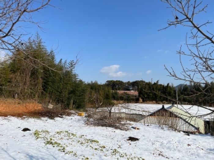 전북 고창군 대산면 대지 경매 물건 사진