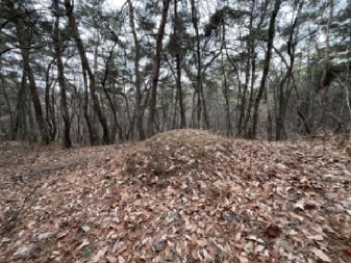 전북 정읍시 옹동면 임야 경매 물건 사진 2 · 2026타경30046
