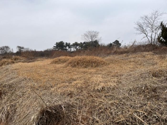 전북 정읍시 덕천면 임야 경매 물건 사진