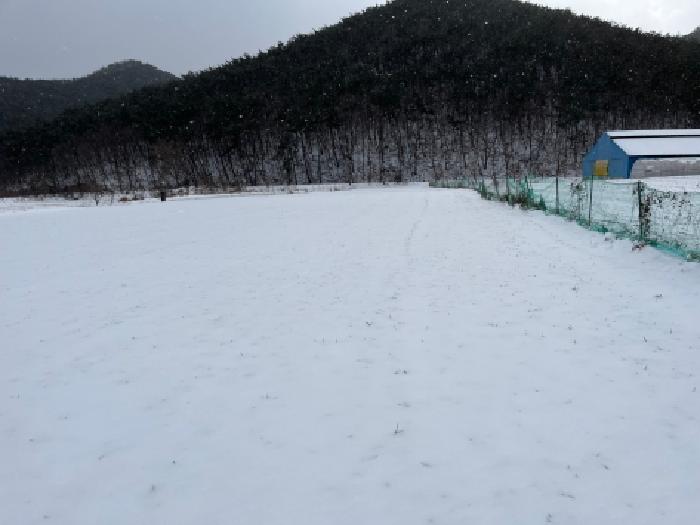 전북 부안군 진서면 전 경매 물건 사진 2 · 2026타경5