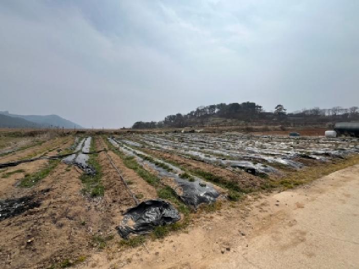 전북 고창군 해리면 대지 경매 물건 사진 4 · 2026타경51