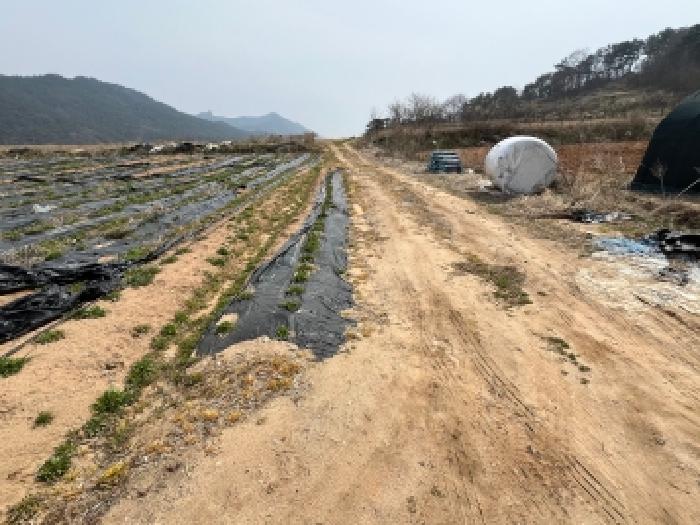 전북 고창군 해리면 대지 경매 물건 사진 5 · 2026타경51