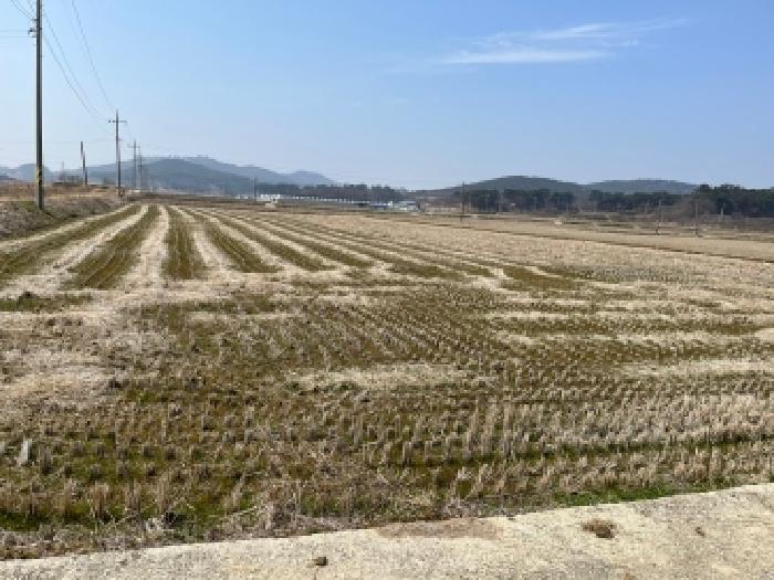 전북 고창군 해리면 대지 경매 물건 사진 6 · 2026타경51
