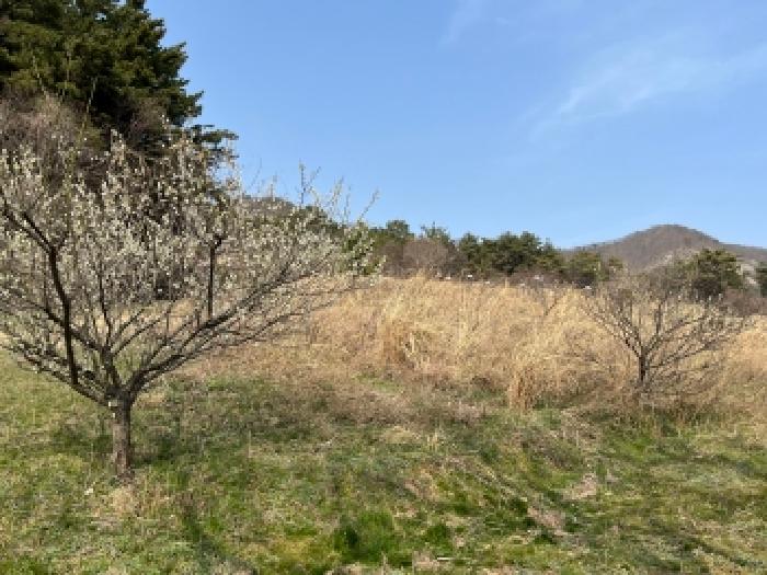 전북 부안군 변산면 전답 경매 물건 사진