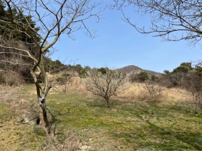 전북 부안군 변산면 전답 경매 물건 사진 2 · 2026타경54