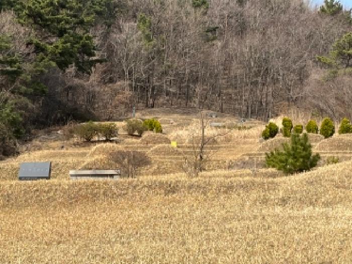 전북 부안군 변산면 전답 경매 물건 사진 3 · 2026타경54