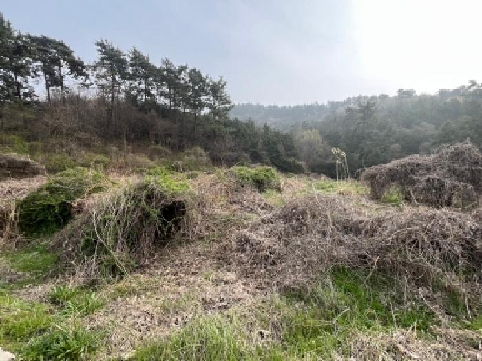 전북 고창군 부안면 전답 경매 물건 사진