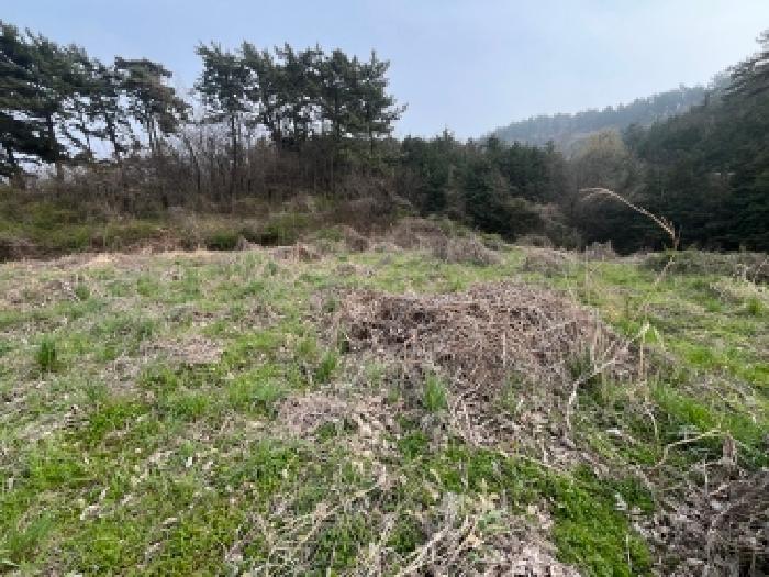 전북 고창군 부안면 전답 경매 물건 사진 2 · 2026타경68
