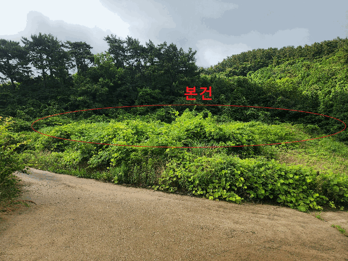 전북 고창군 부안면 전답 경매 물건 사진 3 · 2026타경68