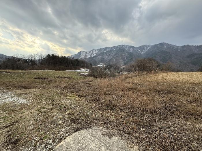 전북 장수군 천천면 전 경매 물건 사진 4 · 2024타경31731