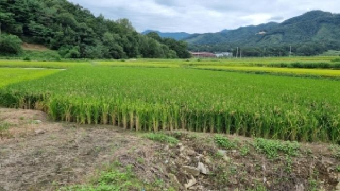 전북 장수군 산서면 답 경매 물건 사진 2 · 2025타경1176