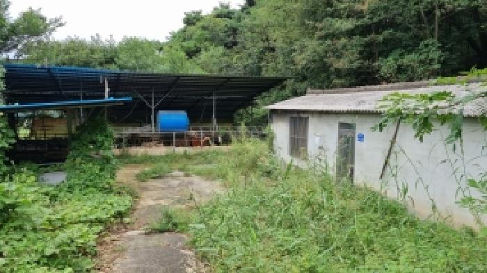 전북 장수군 산서면 답 경매 물건 사진 5 · 2025타경1176