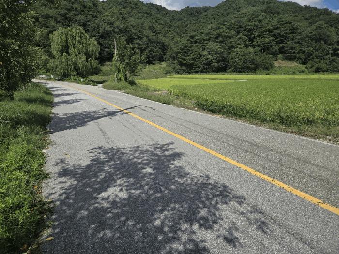 전북 장수군 산서면 답 경매 물건 사진 6 · 2025타경1176