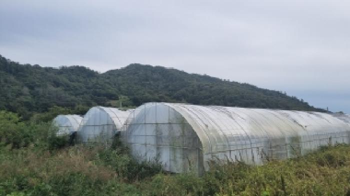 전북 장수군 천천면 답 경매 물건 사진
