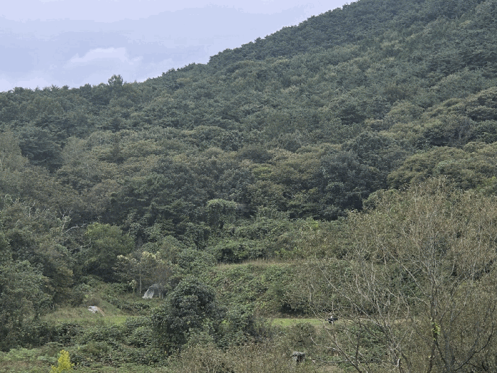 전북특별자치도 순창군 풍산면 죽곡리 500-2 답 경매 물건 사진