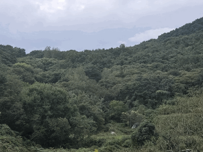 전북 순창군 풍산면 답 경매 물건 사진 3 · 2025타경1182