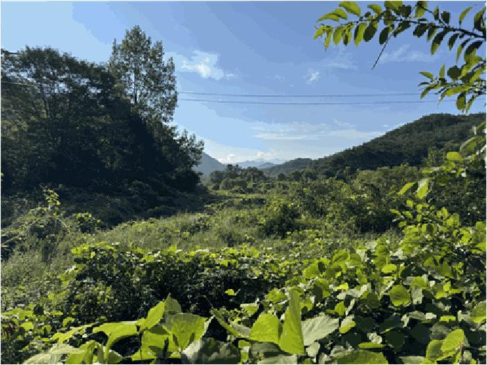 전북 순창군 적성면 답 경매 물건 사진 3 · 2025타경30235