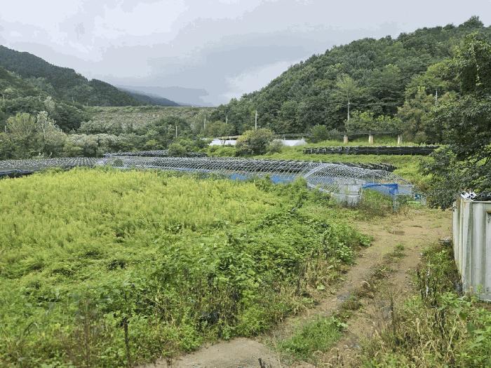 전북 장수군 계북면 답 경매 물건 사진 4 · 2025타경30242