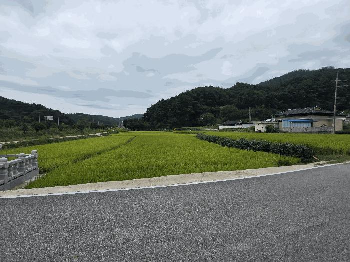 전북 남원시 주천면 임야 경매 물건 사진 5 · 2025타경30245