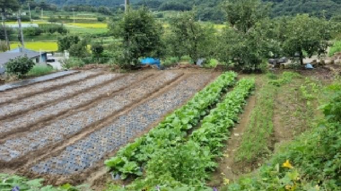 전북 순창군 동계면 대지 경매 물건 사진 2 · 2025타경30250