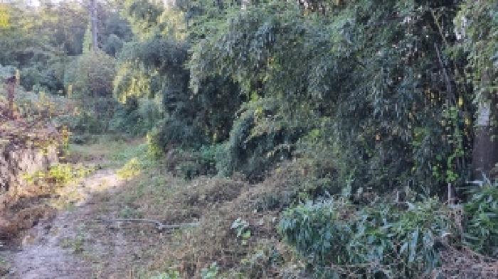 전북 순창군 순창읍 전 경매 물건 사진 6 · 2025타경30260