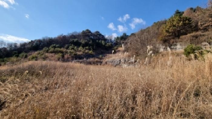 전북 남원시 어현동 임야 경매 물건 사진 6 · 2025타경30281